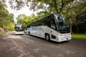 Luxury Charter Bus Rental