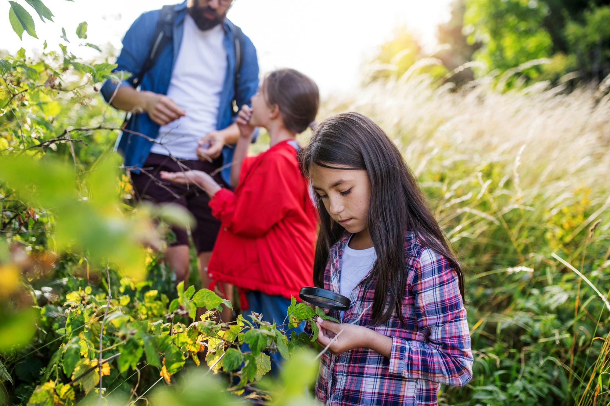 Group of school children with teacher on field trip in nature, learning science